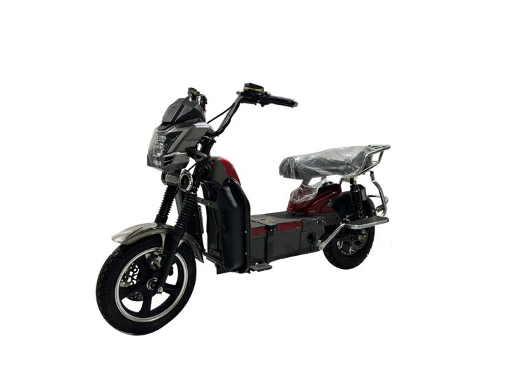 Classic Model Heavy Duty Cargo Electric-Bike