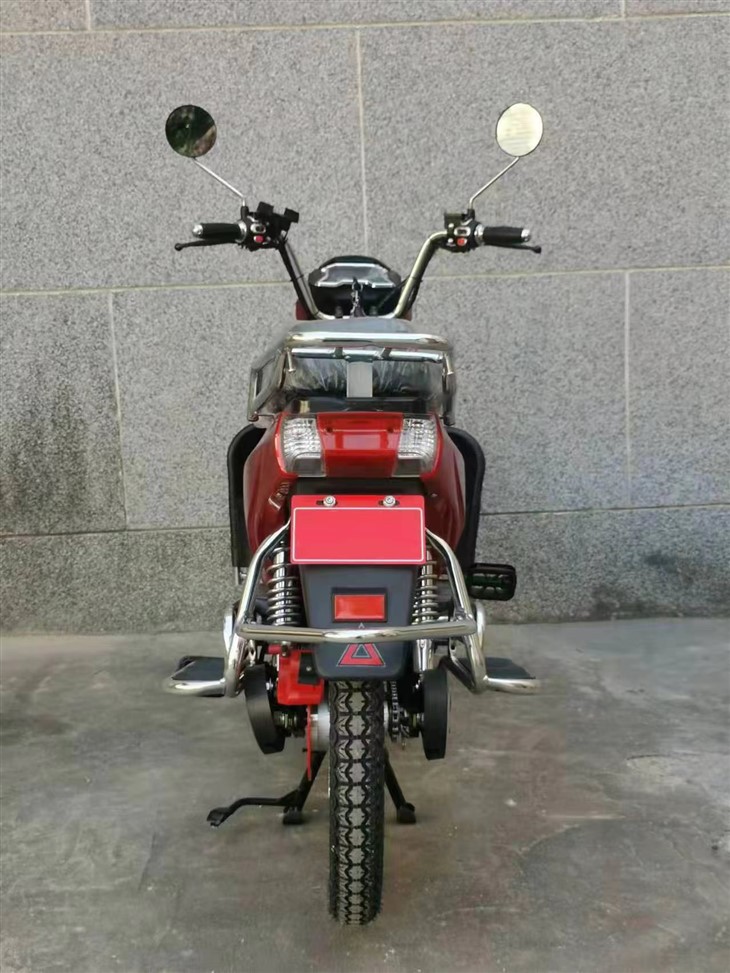 Classic Model Heavy Duty Cargo Electric-Bike