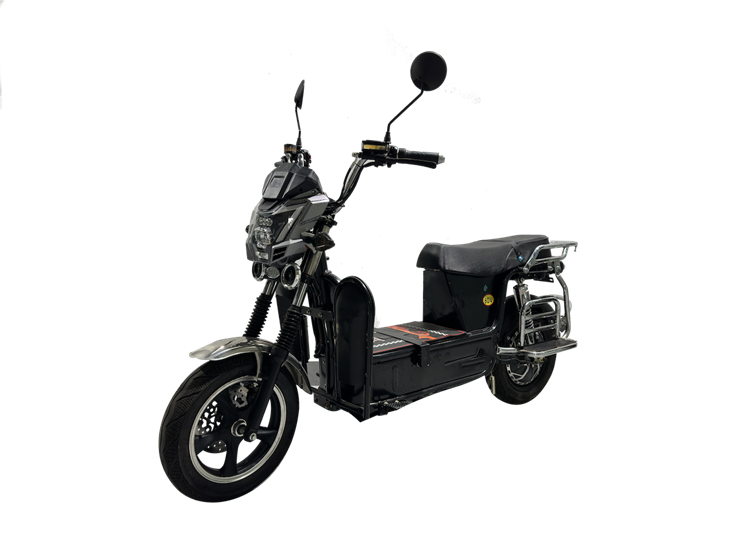 Classic Model Heavy Duty Cargo Electric-Bike